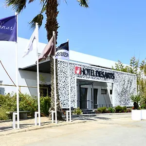 Hotel Des Arts & Spa, Tamarist
